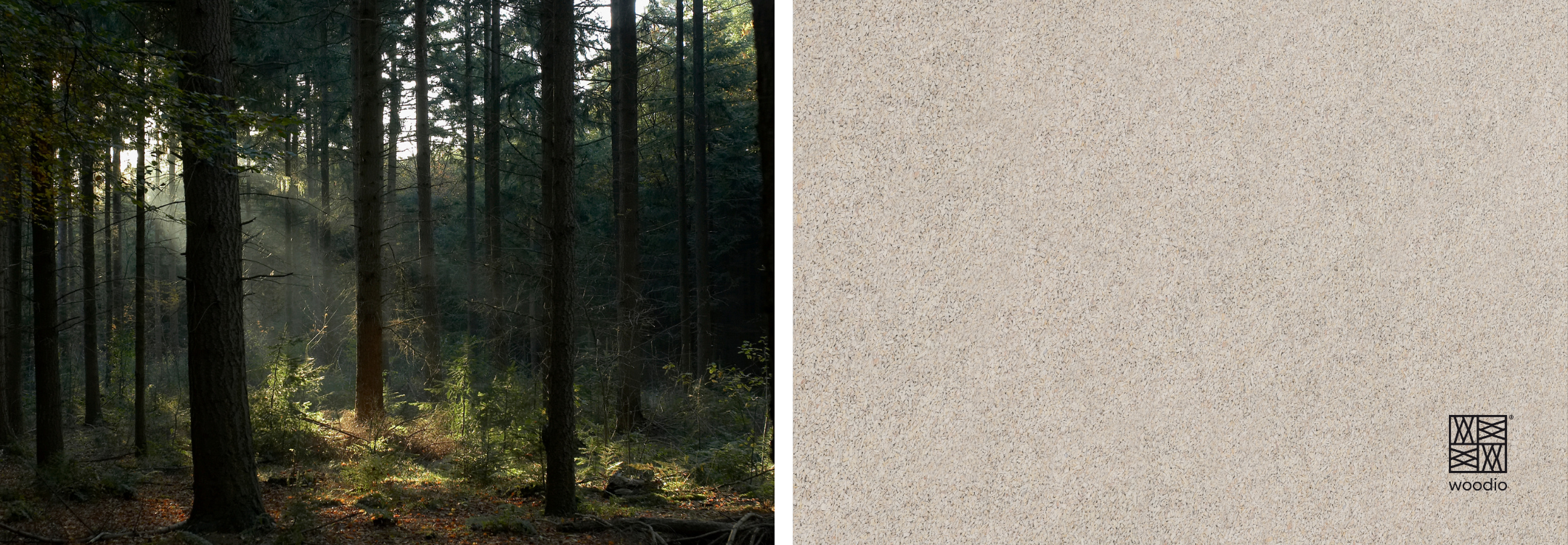 Woodio Skog, benkeplate Ava